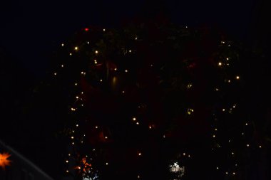 Işıklı Noel ağacı