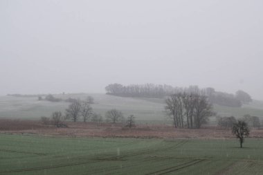 Ağaçlar ve karla kaplı kış manzarası