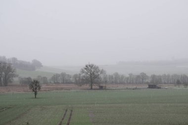 Alman Eyfel 'inde kış