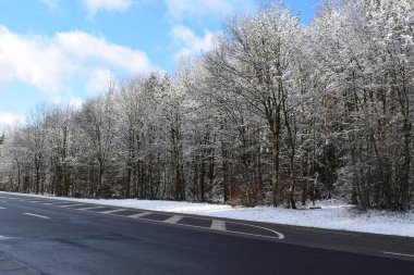 Kışın karla kaplı ağaçlarla kaplı yol