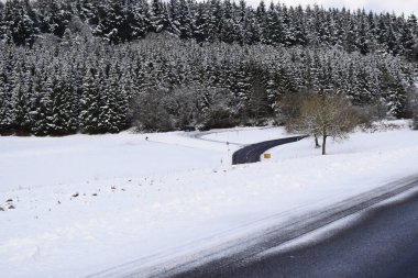 Eifel landscape north of Nuerburg clipart