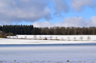 Kar ve ağaçlarla kaplı kış manzarası