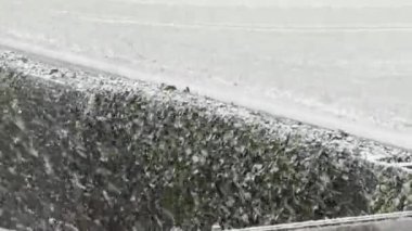 Parkta karla kaplı buz