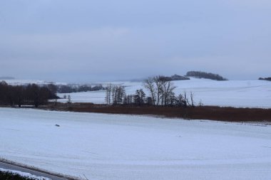 Kar ve ağaçlarla kaplı kış manzarası