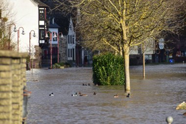 Hatzenport 'un ana caddesinde ördekli bir Mosel nehri.