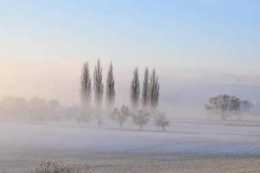 Ağaçlı ve karlı güzel bir manzara.