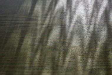 Ormanın yüzeyindeki gölgeler.