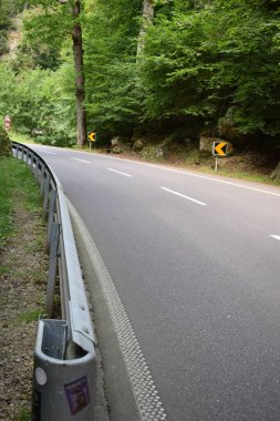 Ormandaki boş yol..