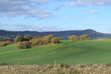 Renkli ağaçlarla dolu sonbahar manzarası
