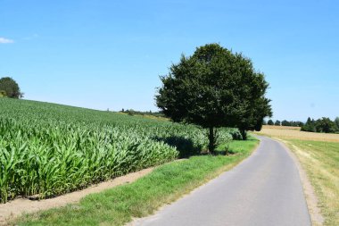 yol alan aracılığıyla