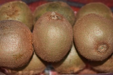 Bir kiviye yakın çekim