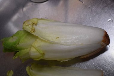 Genç beyaz bir lahanaya yakın çekim.