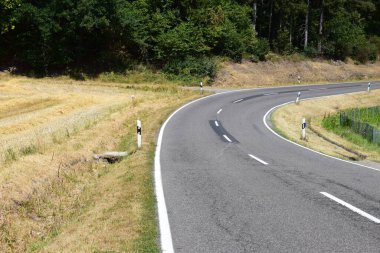 Ağacı ve orman manzarası olan bir yol