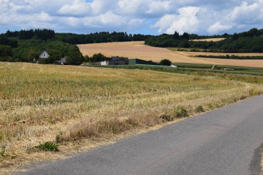 Yazın köy yolu olan kırsal alan