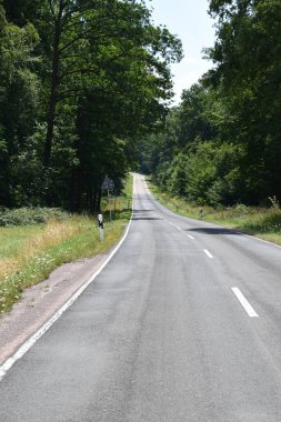 Yazın kırsalda boş bir köy yolu