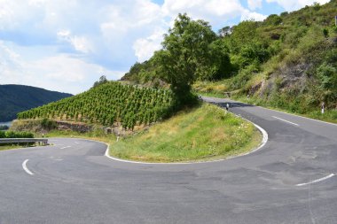 İtalya 'nın güzel üzüm bağları.