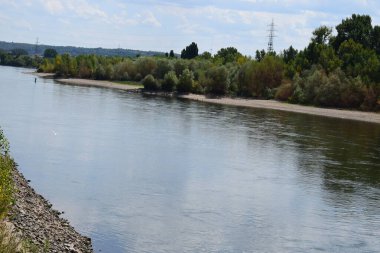 river Rhine in the summer drought clipart