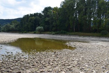 Kuru nehirde ağaçlarla dolu bir nehir.