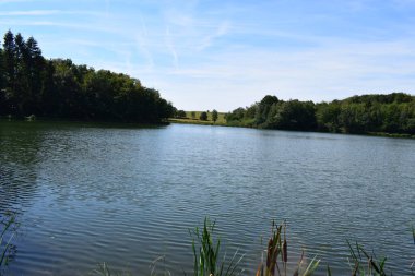 Holzmaar Gölü, Eifel 'de bir Caldera, GErmany