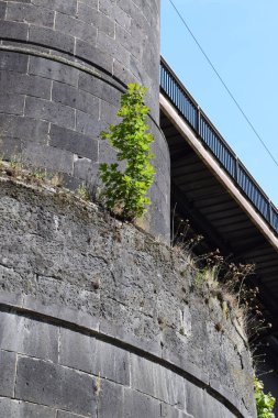 Koblenz 'deki eski Ren köprüleri, Oberwerth adası bölgesi.