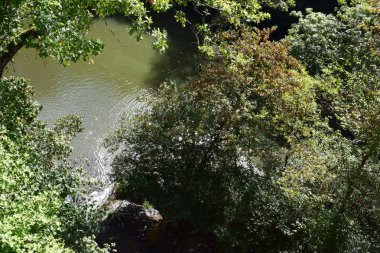 Parktaki nehrin güzel manzarası