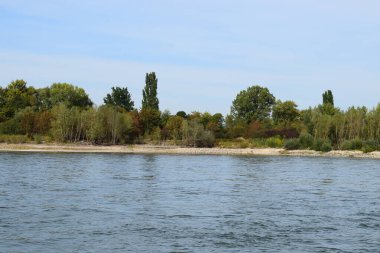 Almanya 'da Ren nehrinin düşük su seviyesi