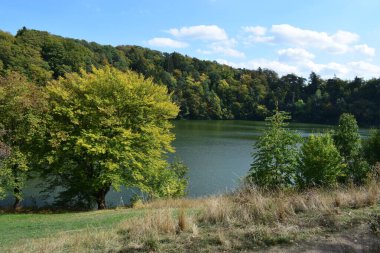 Ağaçlı ve yeşil yapraklı güzel sonbahar manzarası