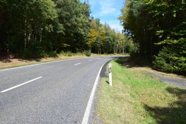 boş asfalt yol ormanı
