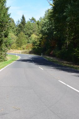 Ormanda boş asfalt yol