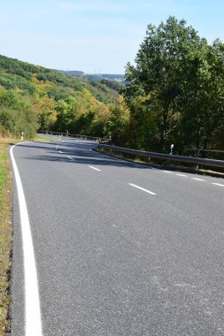 Ormanda boş asfalt yol