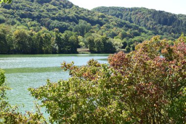 Parktaki göl. Doğa, seyahat