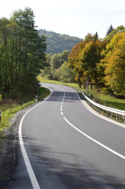 Orman yoluyla sonbahar yol