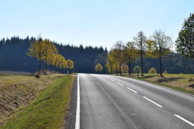 Sonbahar ormanında yol bomboş.