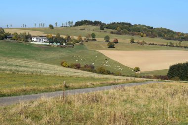 Tarım yolunun seçici odak noktasının manzarası