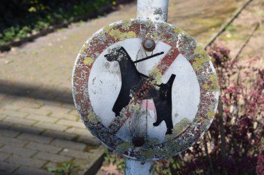 Paslı köpek işareti yok.