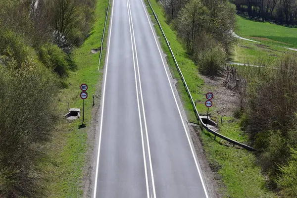 Yeşil ağaçlı bir yol