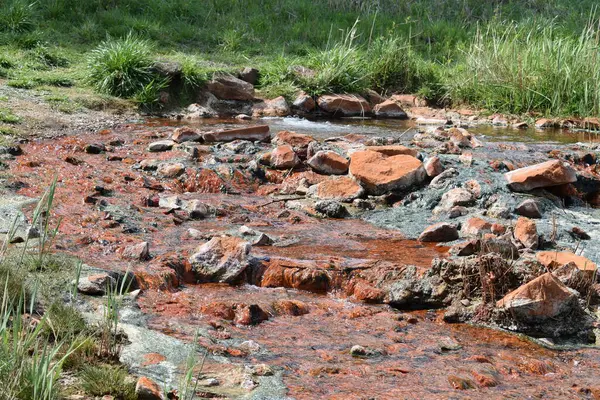 Küçük kırmızı bir nehir ormanın içinden akıyor.