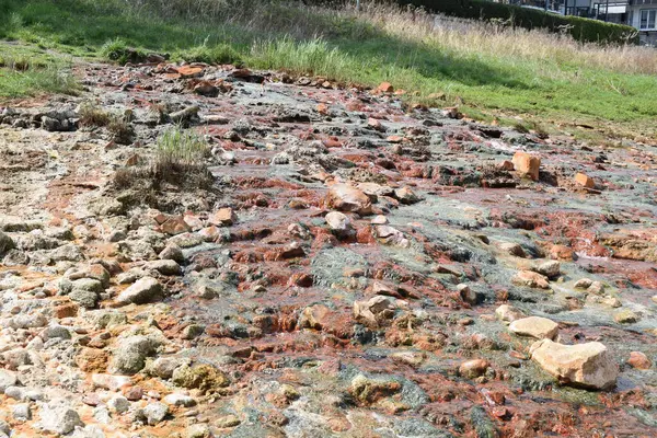 Eski paslı nehir haliçleri