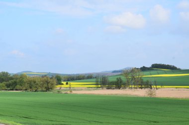 Yeşil, turuncu tarlaları ve ağaçları olan manzara