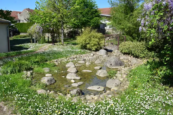 Küçük bir göleti ve küçük bir taşı olan küçük bir bahçe.