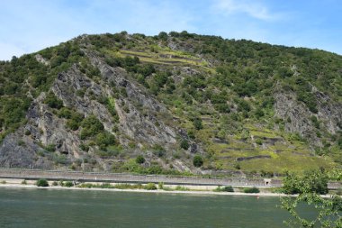 Yukarıdan Ren Vadisi manzarası