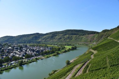 Fransa 'daki Moselle ve nehir manzarası