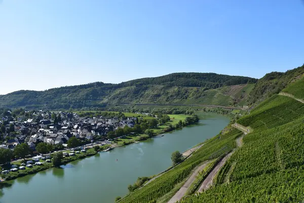 Ren nehrinin manzarası Rhein, Moselle Vadisi, Rheinsel, Almanya 'nın bağlarından.