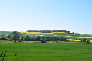 Sarı ve mavi gökyüzü olan güzel bir manzara.