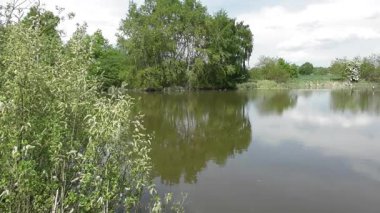 Yaz parkında güzel bir göl