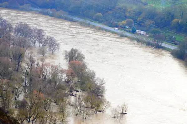 Ormandaki bir nehir manzarası