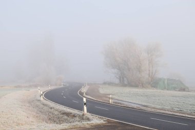 Sisli bir sabahtan geçen bir yol