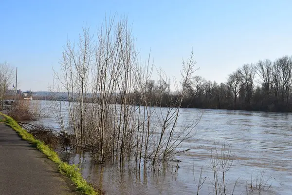 Nehir manzarası ve köprü.