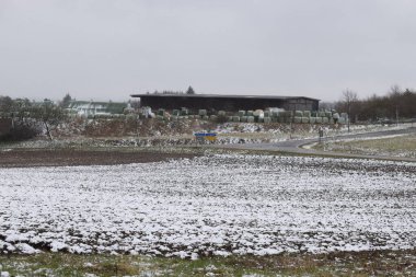 Ormanda karla kaplı çimenler