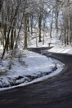 Ormanda bir kış yolu